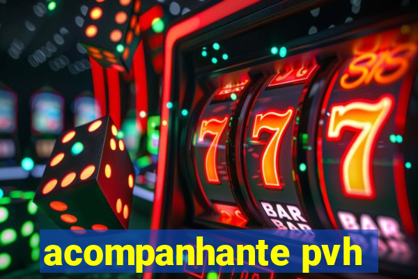 acompanhante pvh